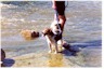 playing in Maumee river