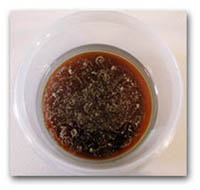 Castor Oil